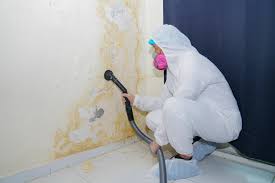 Harrison, AR Mold Removal & Remediation Company